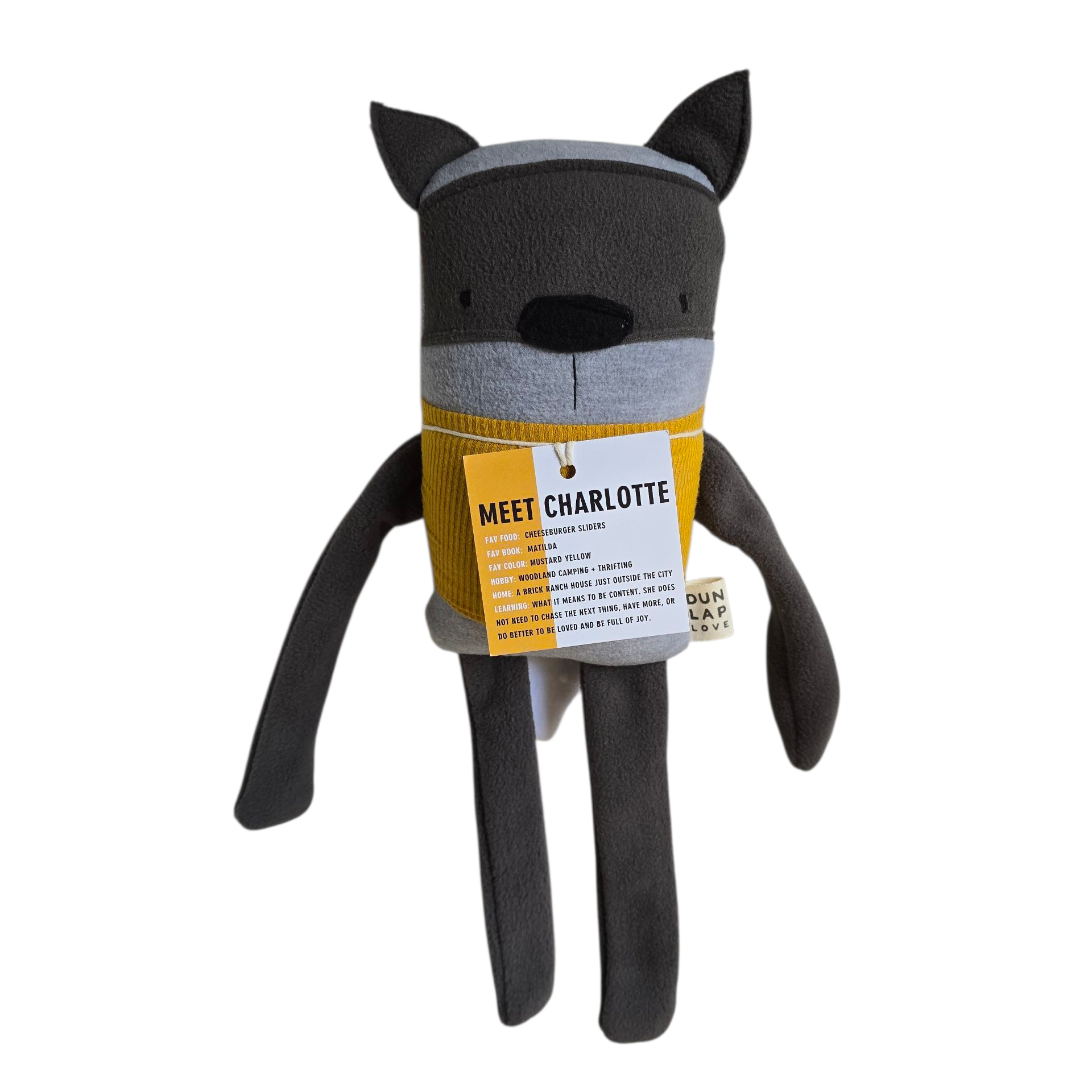 Charlotte the Raccoon