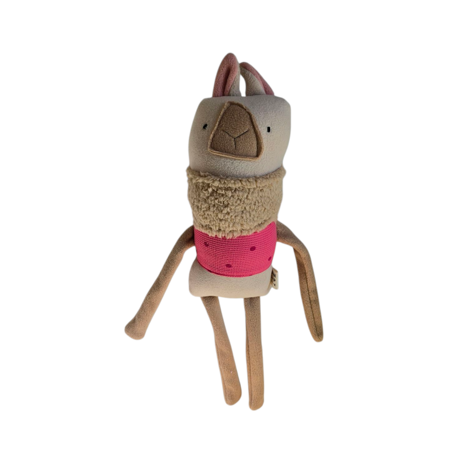 Lola the Llama